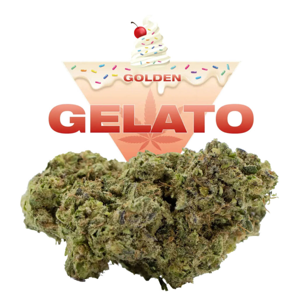 Golden GELATO CBD pour ceux qui recherchent une détente douce tout en conservant une clarté d'esprit.