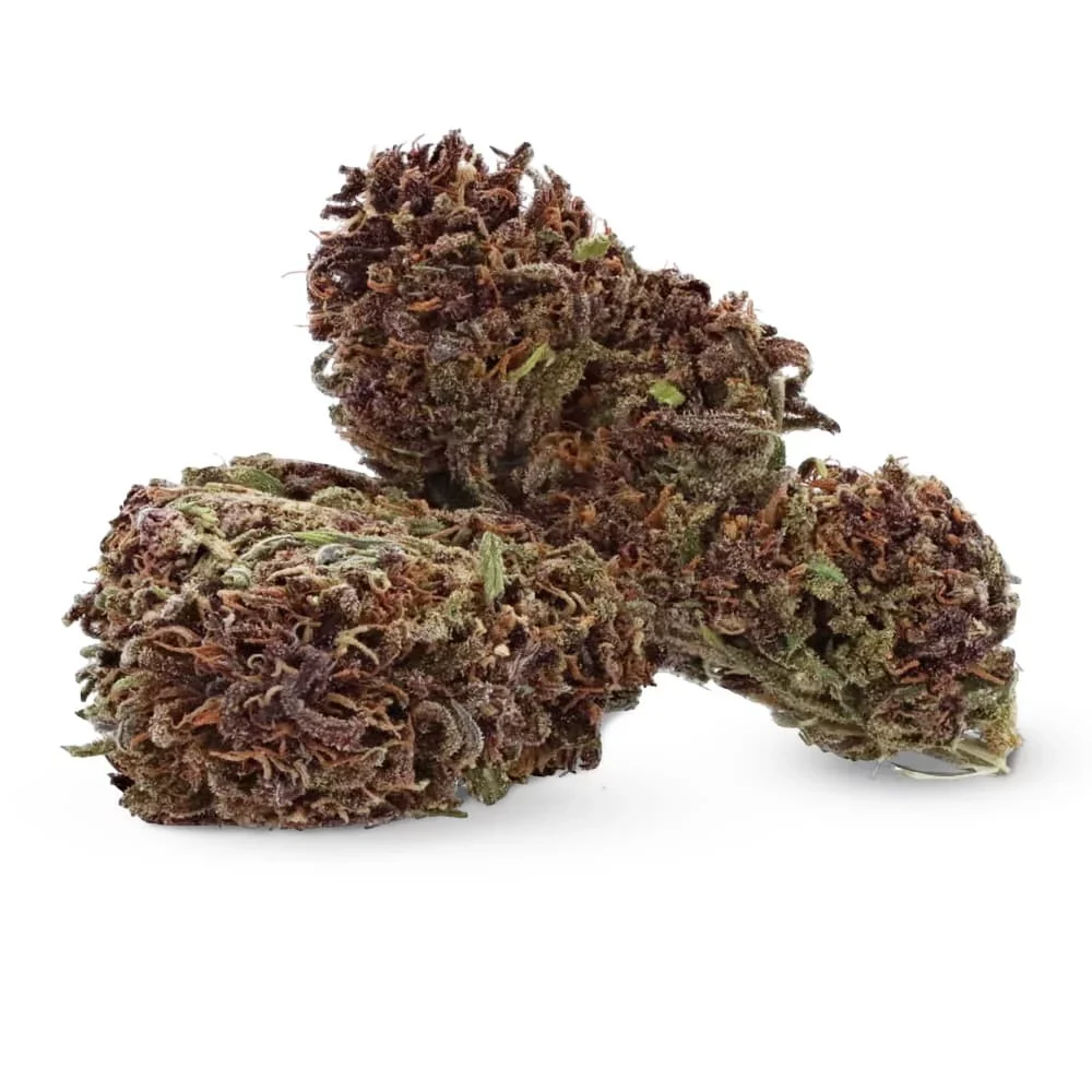 💜 Purple Kush CBD d'Ivory : fleur premium cultivée indoor en bioponie