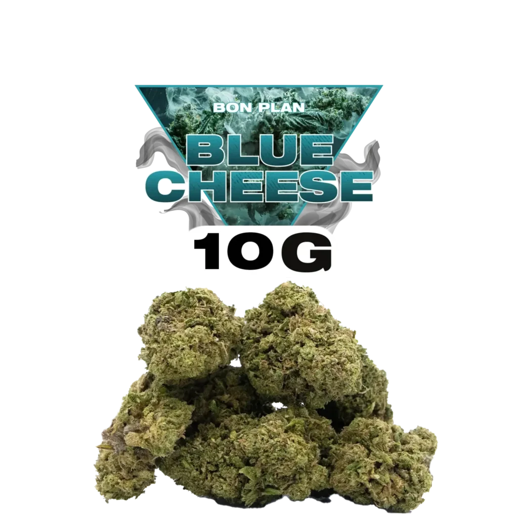 🌿 Blue Cheese CBD : La pépite relax à prix mini